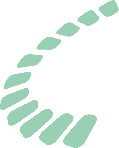 Illustrazione Padova Dental Center - Verde